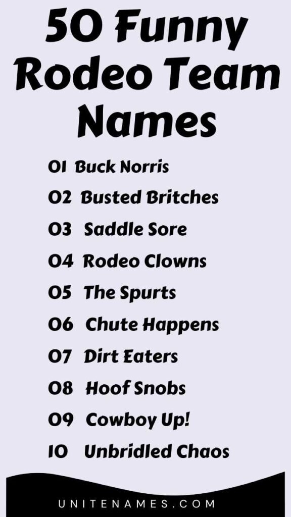 Funny Rodeo Team Names