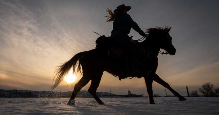 Rodeo Team Names